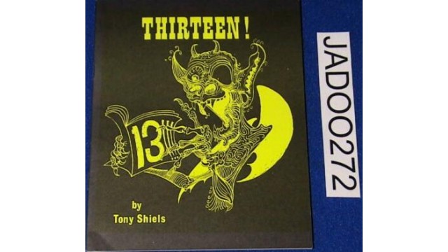 Thirteen by Tony Shiels