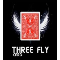 Three Fly Card by Mickael Chatelain