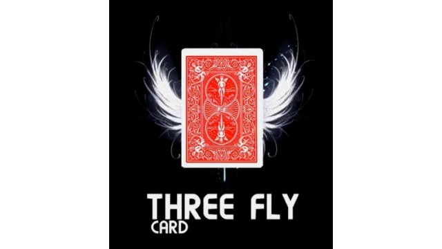 Three Fly Card by Mickael Chatelain