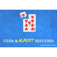 Torn & Almost Restored by Caius Ferguson