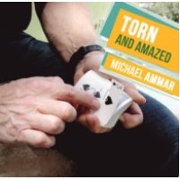 Torn And Amazed by Michael Ammar
