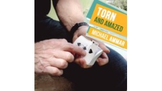 Torn And Amazed by Michael Ammar