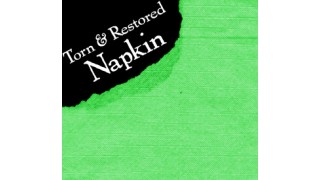 Torn And Restored Napkin