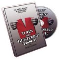 Torn And Restored Tissue by Bob White Torn And Restored Tissue by Bob White