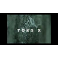 Torn X by Arnel Renegado