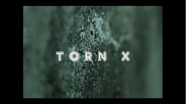 Torn X by Arnel Renegado