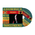 Transcendence by Peter Pellikaan Transcendence by Peter Pellikaan