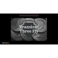 Transient Coins by Adam Grace Transient Coins by Adam Grace