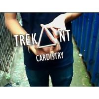 Trekant by Amanjit Singh