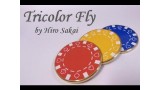 Tricolor Fly by Hiro Sakai