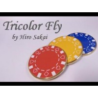 Tricolor Fly by Hiro Sakai