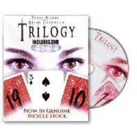 Trilogy Bicycles by Brian Caswells