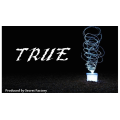 True by Mr. K & Secret Factory True by Mr. K & Secret Factory