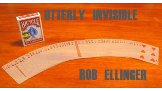 Utterly Invisible by Rob Ellinger