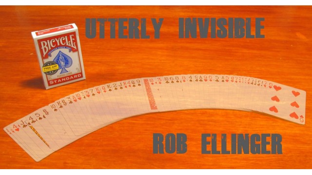 Utterly Invisible by Rob Ellinger