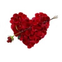 Valentine by Dynamite