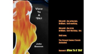 View To A Skill by John Bannon