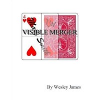 Visible Merger by Wesley James