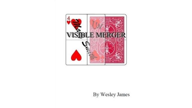 Visible Merger by Wesley James