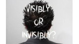 Visibly Or Invisibly by Emerson Rodrigues