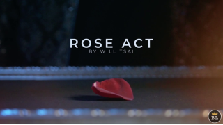 Visual Matrix AKA Rose Act by Will Tsai (Valorous Silver)