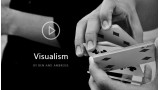 Visualism by Ben And Ambrose