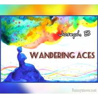Wandering Aces by Joseph B