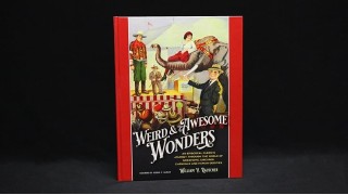 Weird And Awesome Wonders by William V. Rauscher