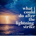 What I Could Do After The Lightning Strike by Steve Wachner What I Could Do After The Lightning Strike by Steve Wachner