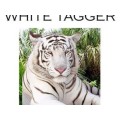 White Tagger by James Biss