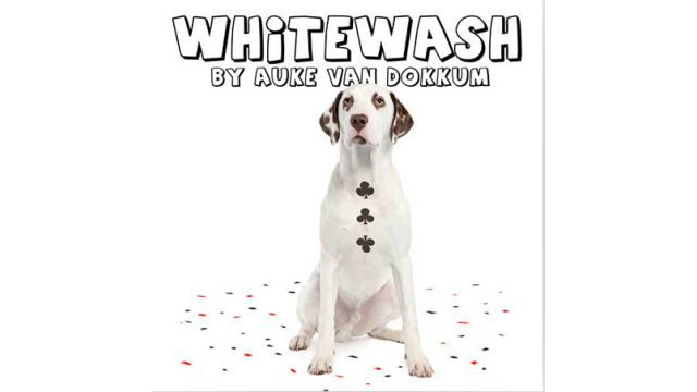 Whitewash by Auke van Dokkum