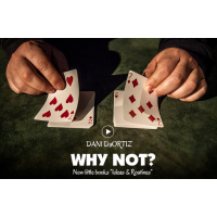 Why Not by Dani Daortiz