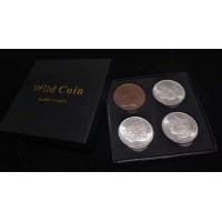 Wild Coins by Chinam Leung