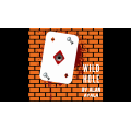 Wild Hole by Alan Ayala Wild Hole by Alan Ayala