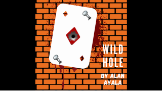 Wild Hole by Alan Ayala