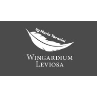 Wingardium Leviosa by Mario Tarasini