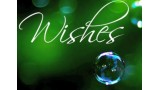 Wishes by Scott Alexander And Puck