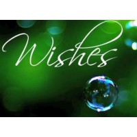 Wishes by Scott Alexander And Puck