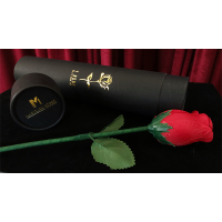 Y-Rose by Mr. Y & Bond Lee