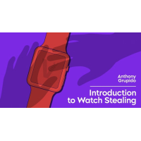 Introduction to Watch Stealing by Anthony Grupido