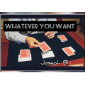 Whatever You Want by Joseph B Whatever You Want by Joseph B