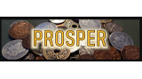 Prosper by Danny Goldsmith