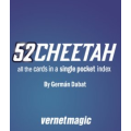 German Dabat & Vernet Magic - 52CHEETAH (English with subtitles in Spanish) German Dabat & Vernet Magic - 52CHEETAH (English with subtitles in Spanish)