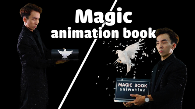 7 MAGIC - DOVE BOOK -