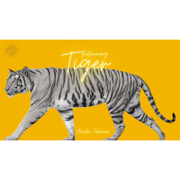 The Vault-Returning Tiger By Aurelio Ferreira