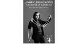 Daniel Ka's Linking Ropes by Daniel Ka