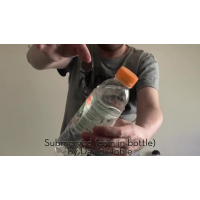 Submerged (coin in bottle) By David Noble
