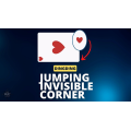 The Vault-Jumping Invisible Corner By Dingding The Vault-Jumping Invisible Corner By Dingding