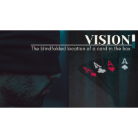 Vision By Francesco Ceriani