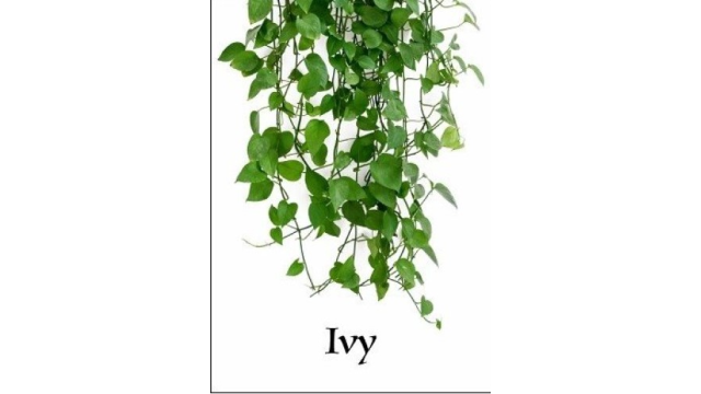 Ivy by Larry Travis - Magic Ebooks